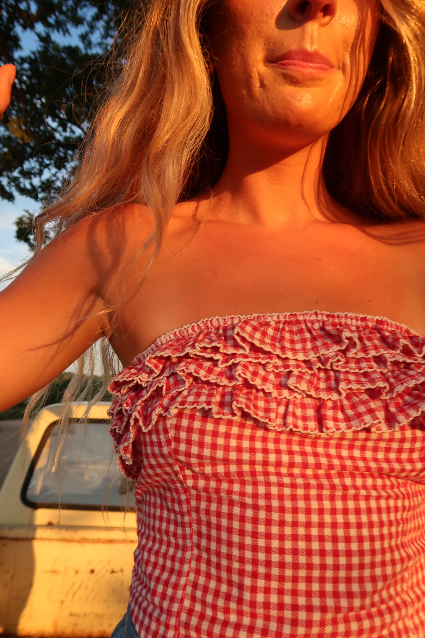 Butterfeild Gingham Top
