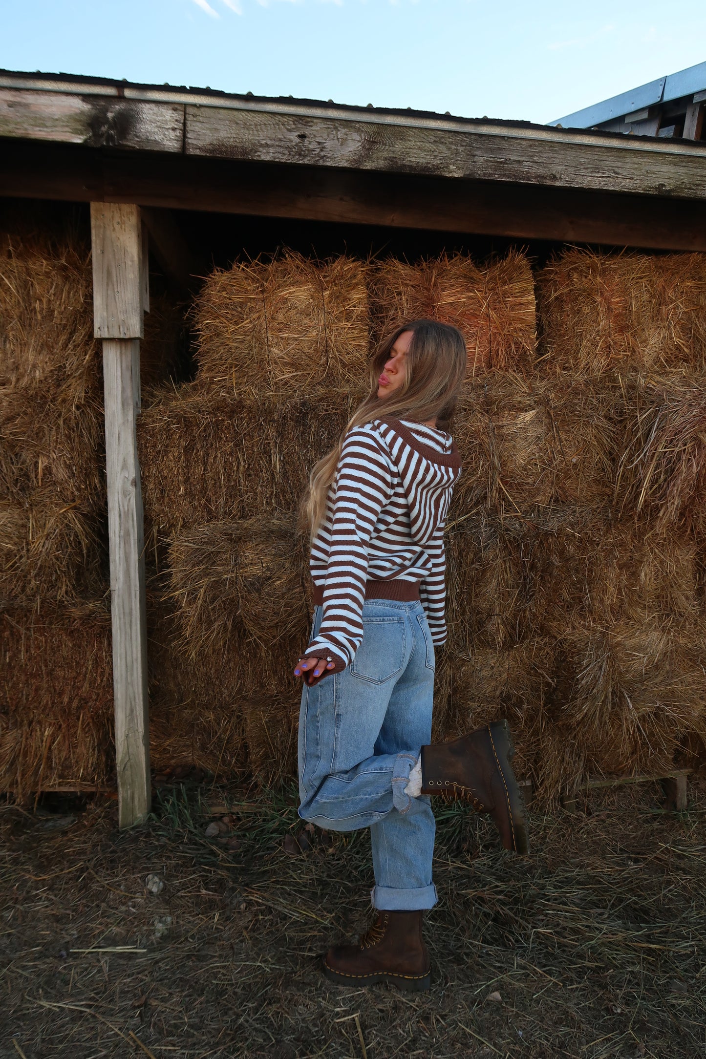 Mocha sky Stripe Cardigan