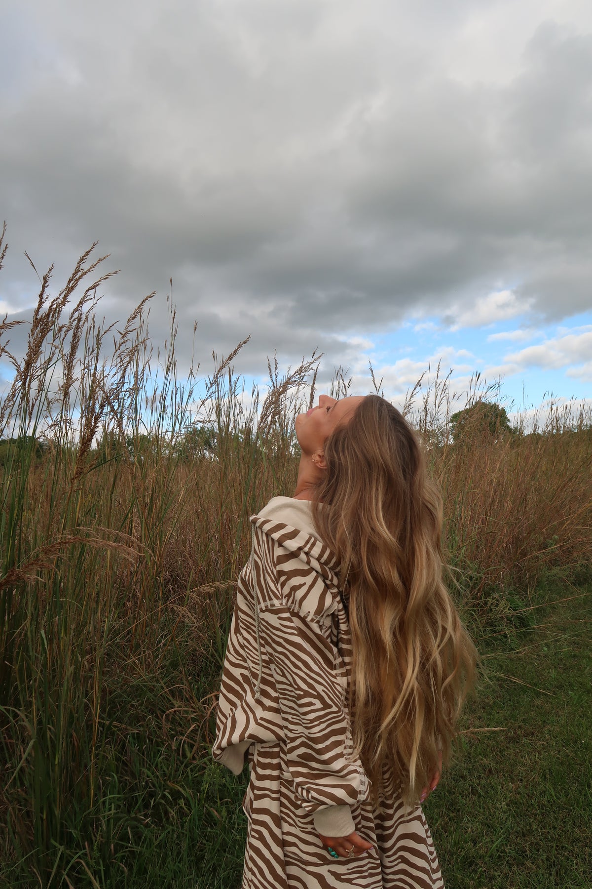 Marty Zebra Hoodie