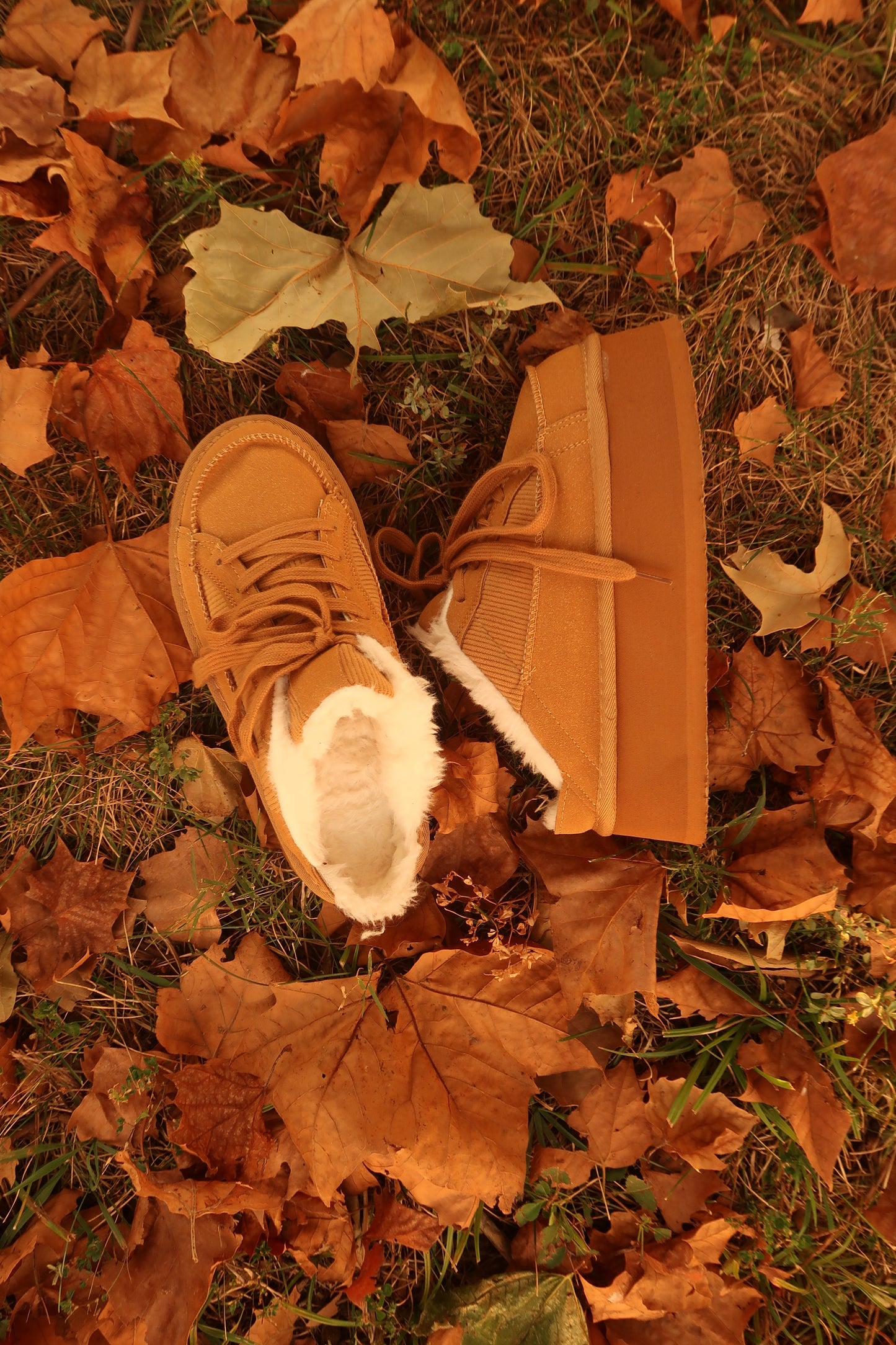 Maple platform mule