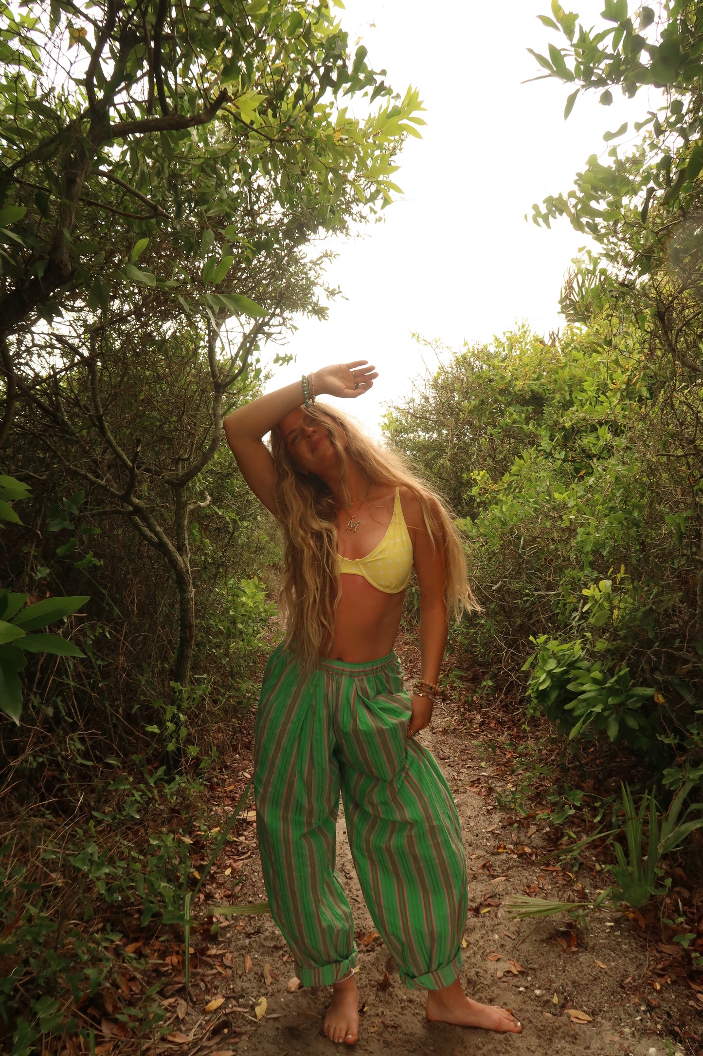 Palm Daze Baggy Pants