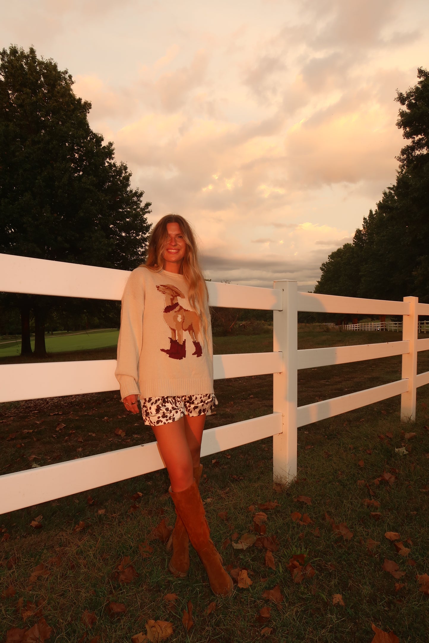 Cowboy Biscuit Sweater