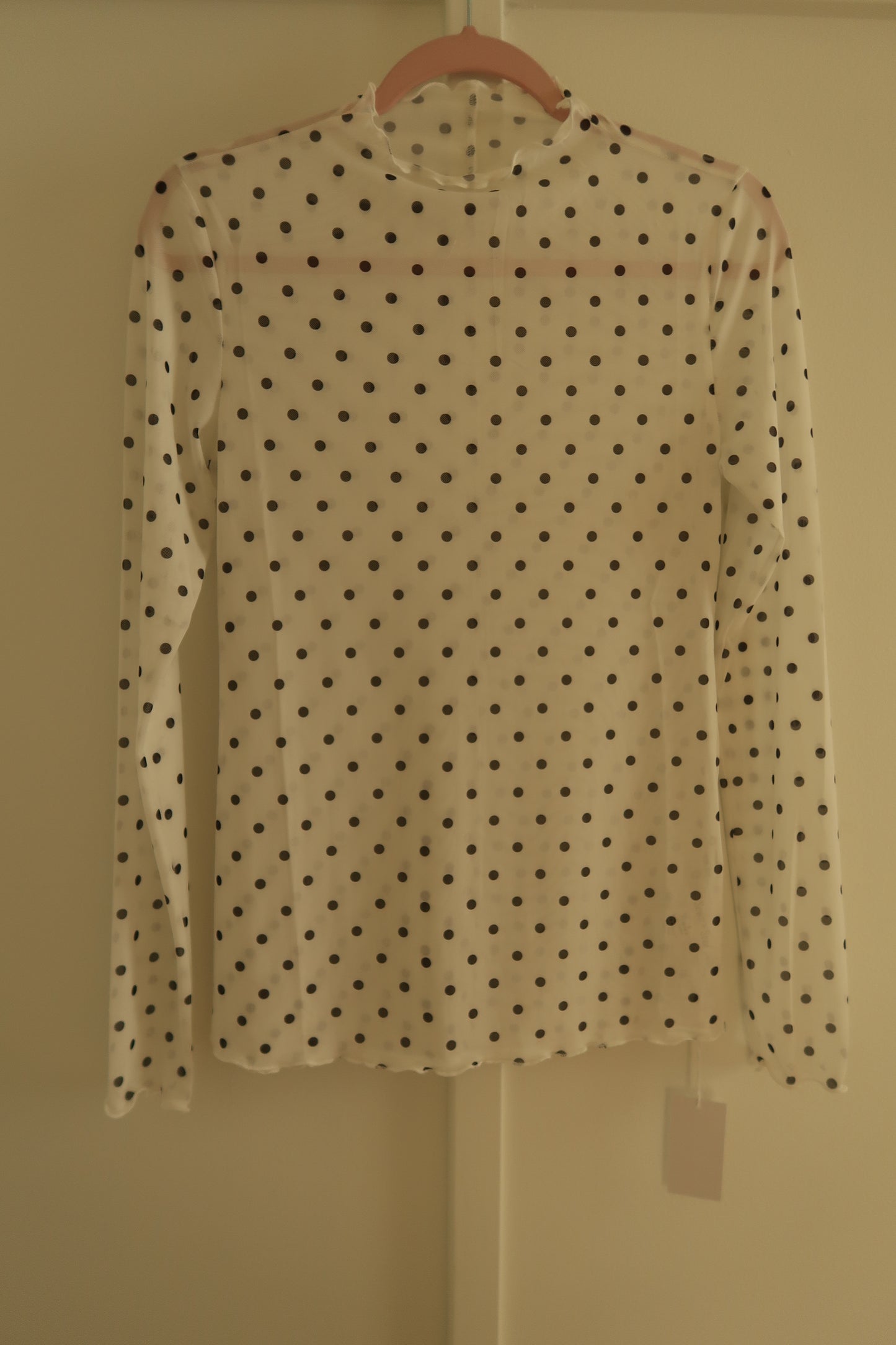 Polka Dot Sheer Long Slv