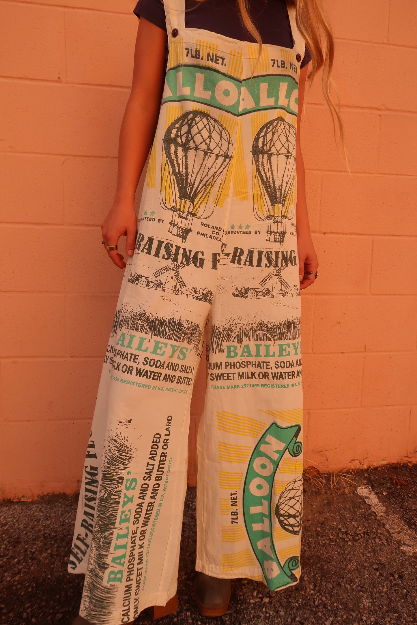 Air Balloon Vintage Overalls