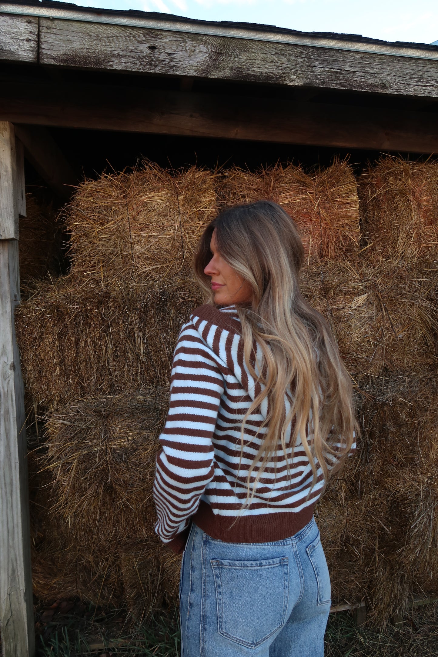 Mocha sky Stripe Cardigan