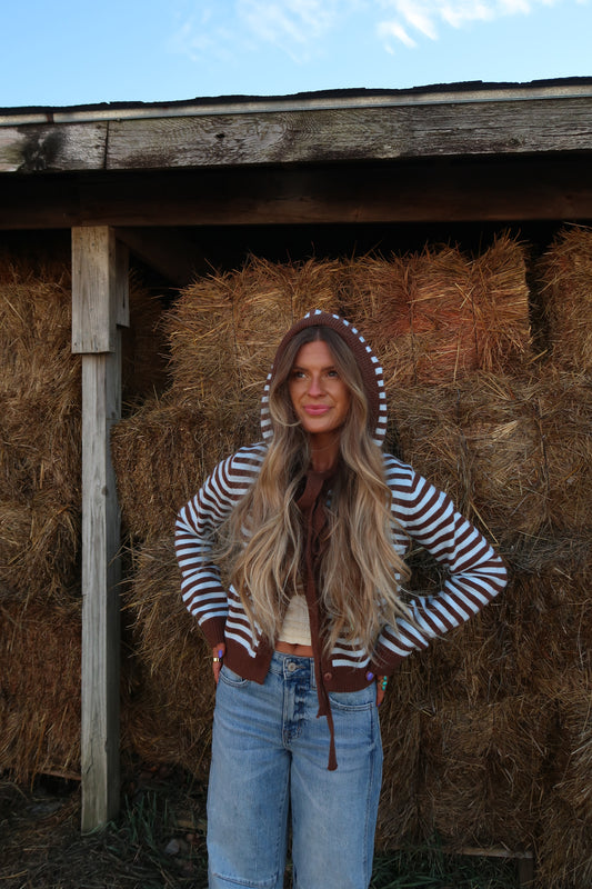 Mocha sky Stripe Cardigan