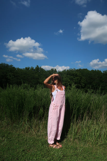 Zinnia Stripe Barrel Overalls