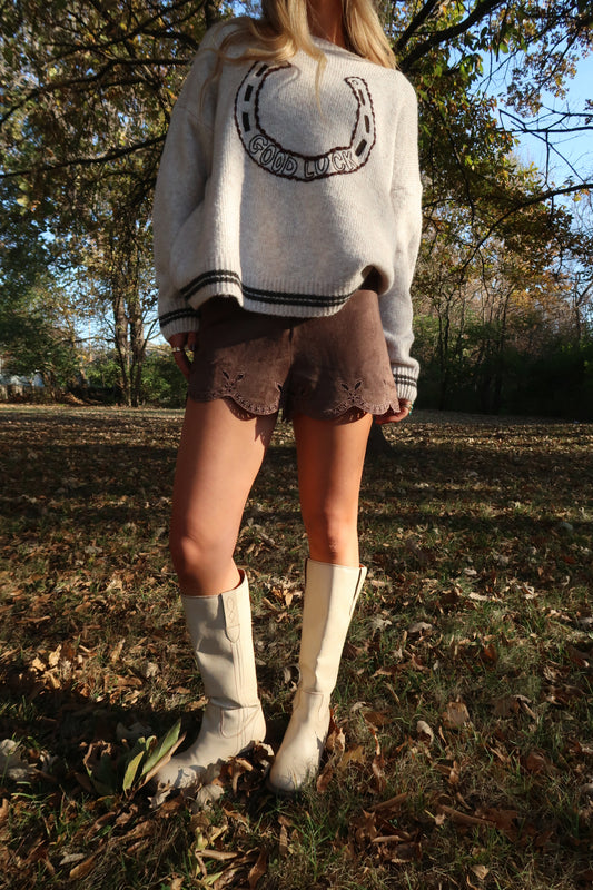 Chocolate Fondue Suede Shorts