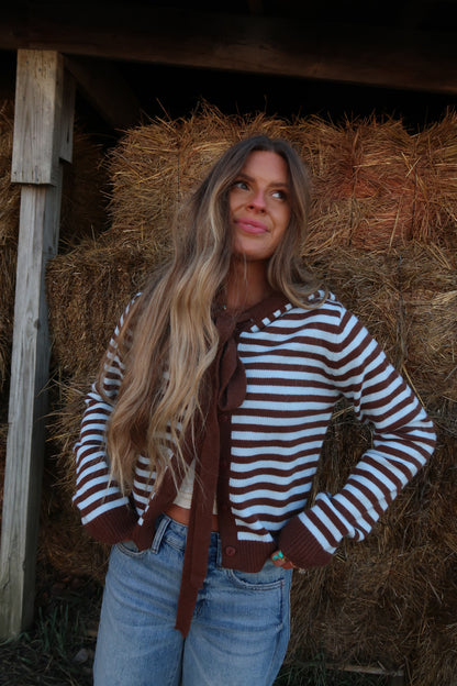 Mocha sky Stripe Cardigan