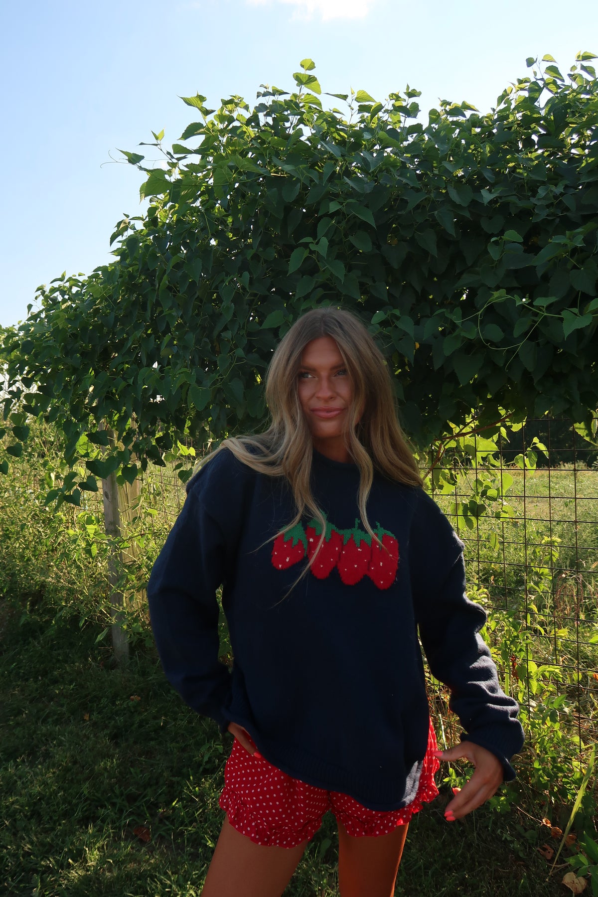 Berry Sweater