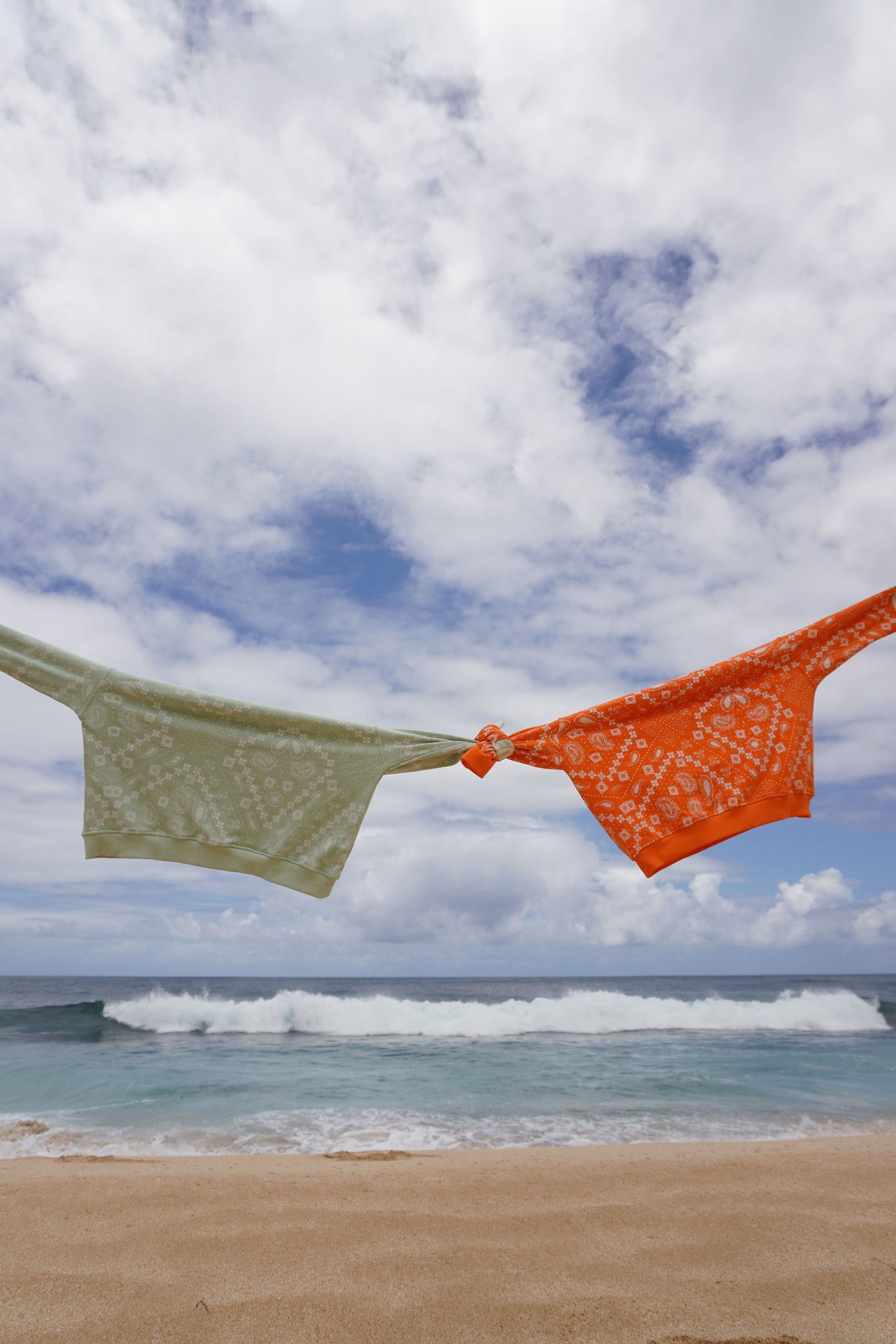 Aloe Bandana Sweatshirt