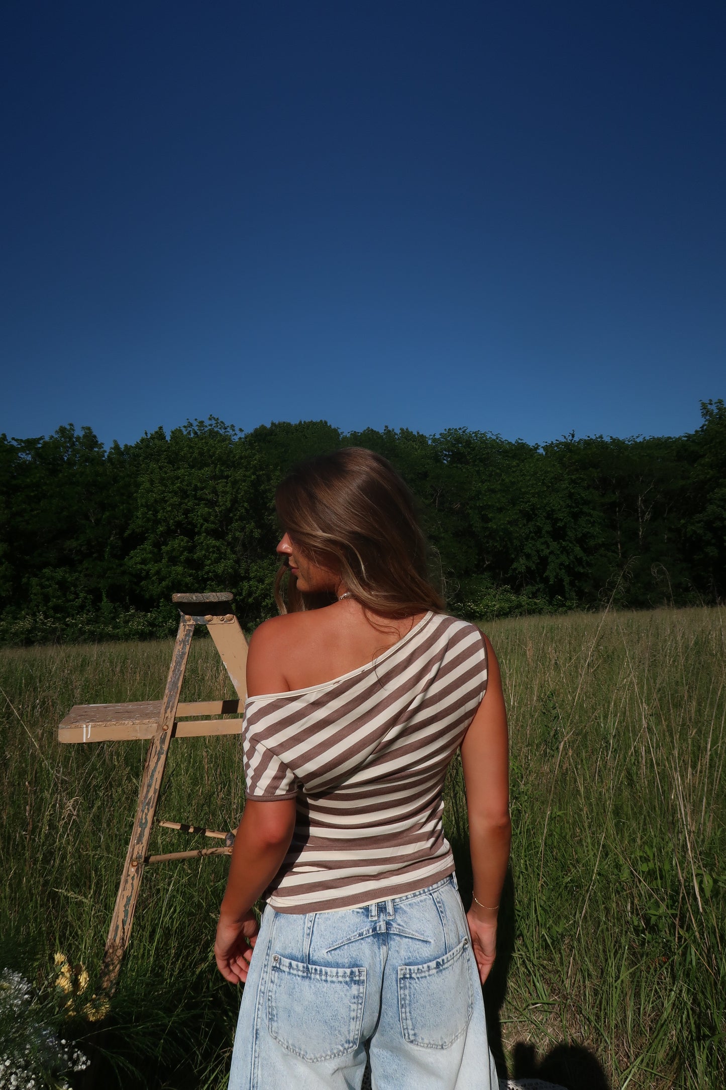 Desert Striped Off The Shoulder Top