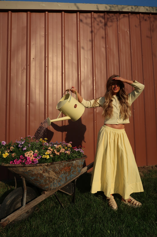 Lemon Skirt + Top Set