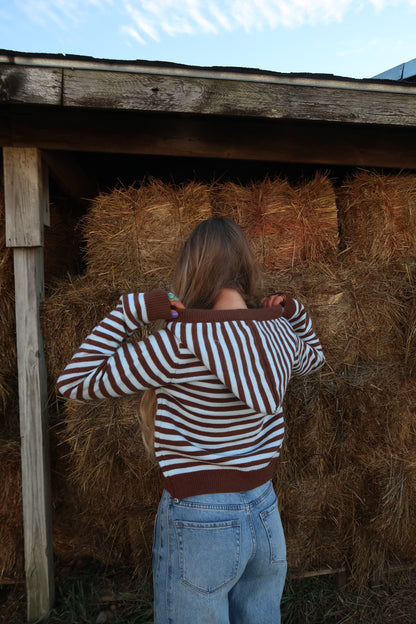 Mocha sky Stripe Cardigan