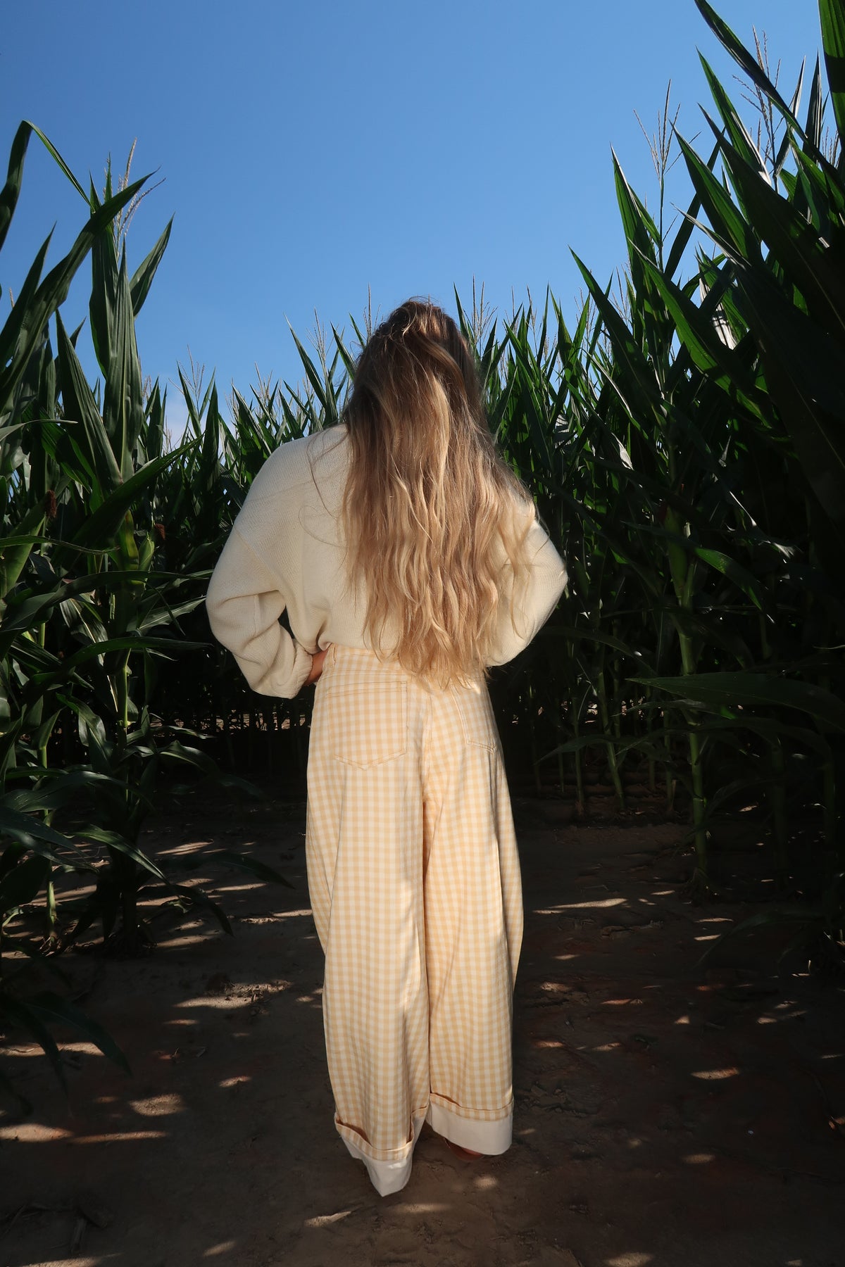 Sweet Corn Gingham Cuff Pants