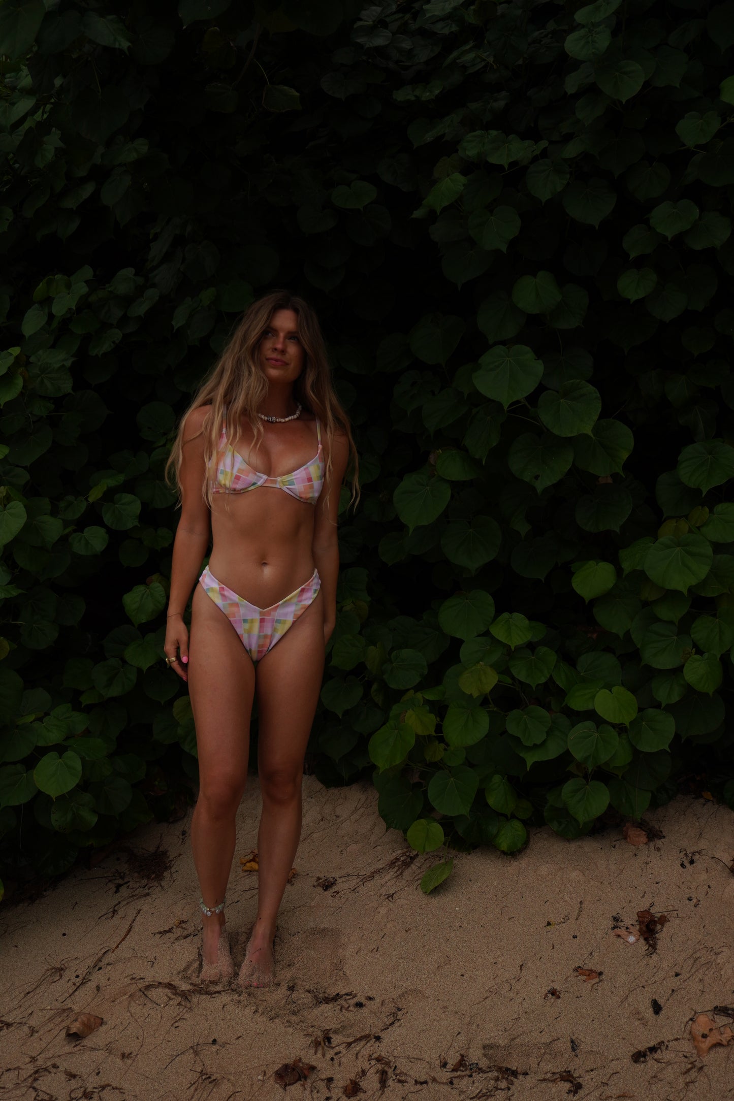 Cabana Crush Cheeky Bottoms