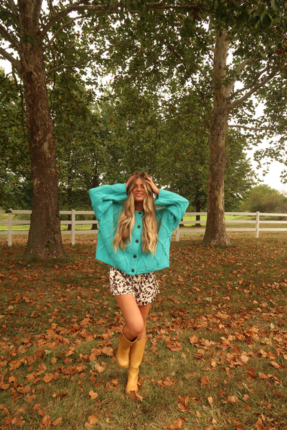 Mystic Cable Knit Cardigan