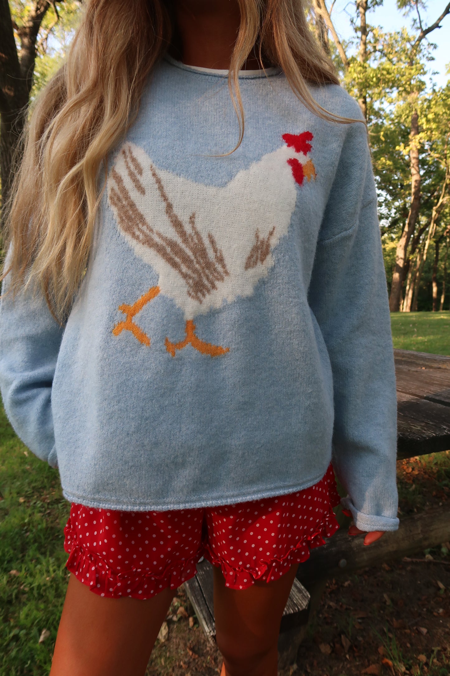 Chicken Sweater