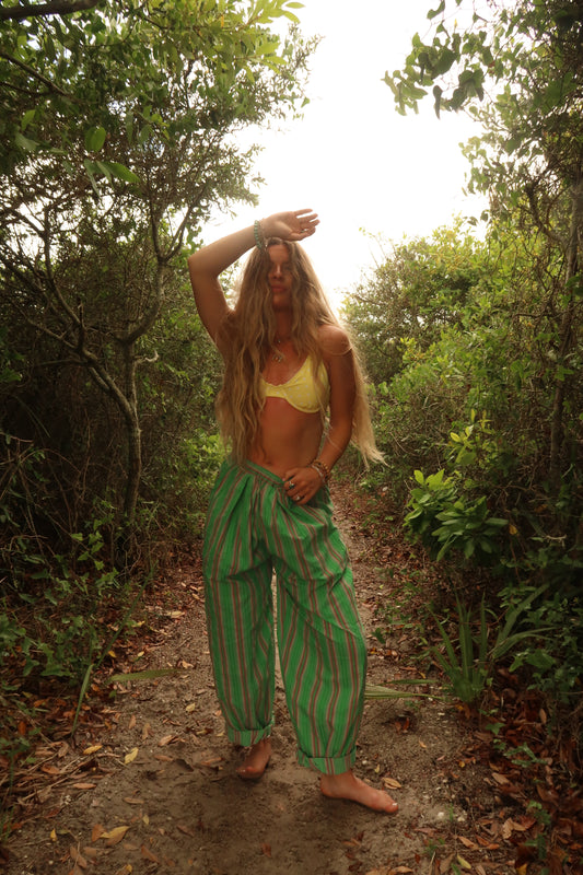 Palm Daze Baggy Pants