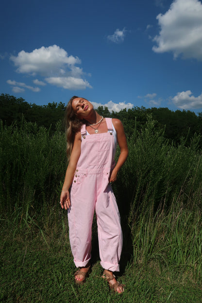 Zinnia Stripe Barrel Overalls