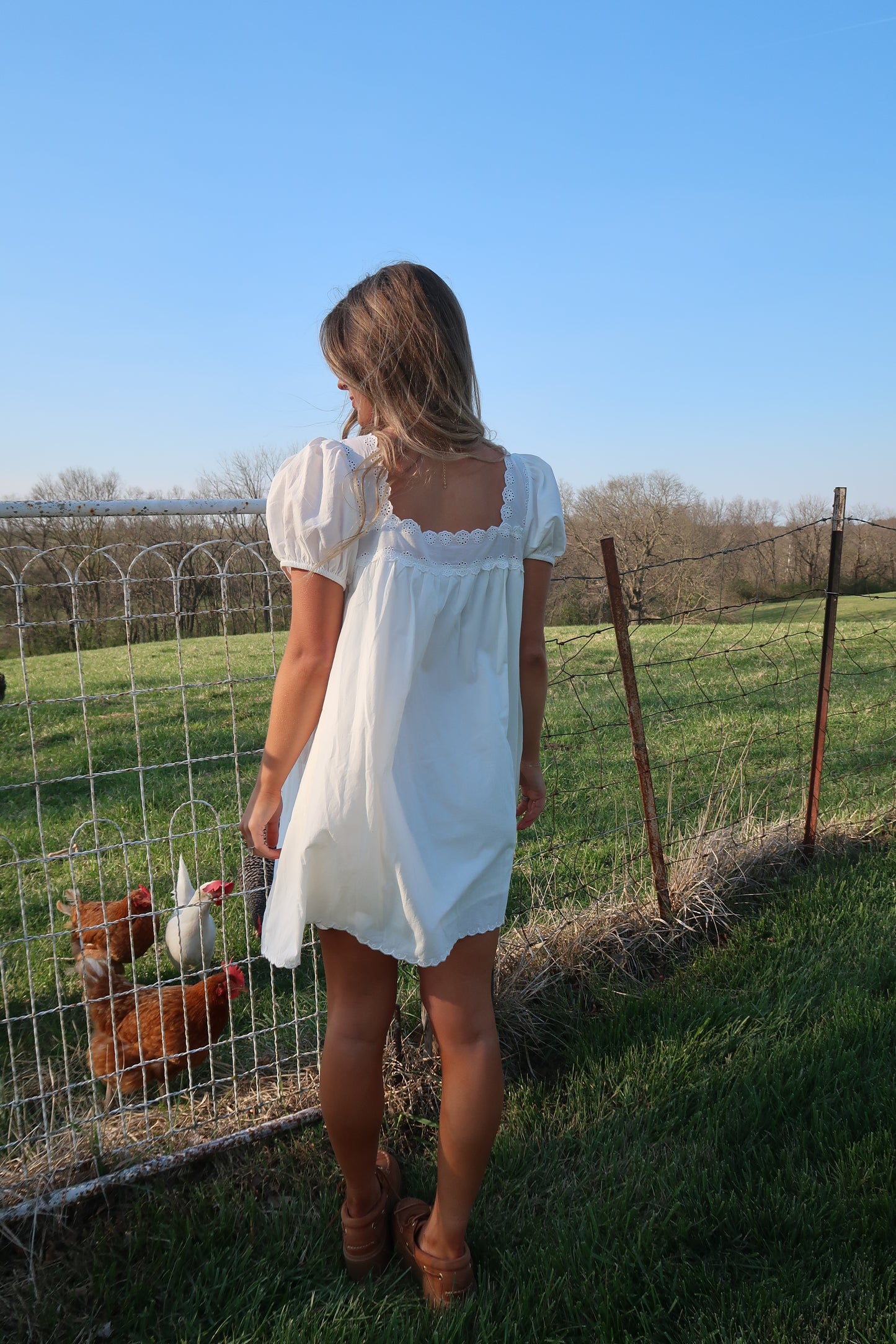 Lilly Eyelet Dress